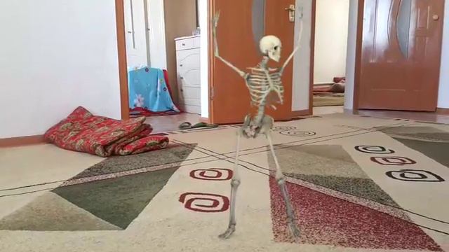 Моей доме есть скелет