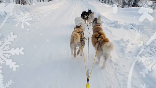 Республика Карелия