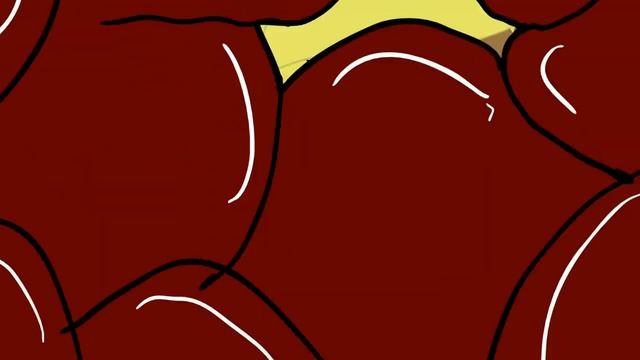 Toon Boom Swallow Animation