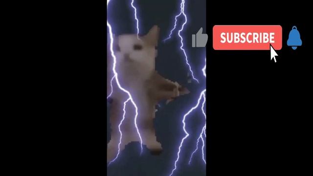 видео про шни шна шнапи 1 части)
