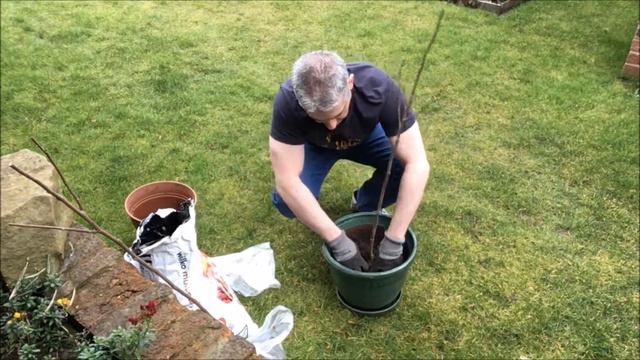Spare time Gardening with Simon - How to Plant Bare Root Plants- Mar 18 S3 E8