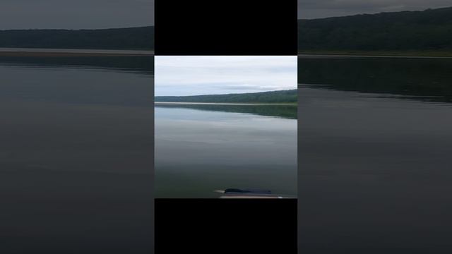 в поисках трофеев,Вятка!