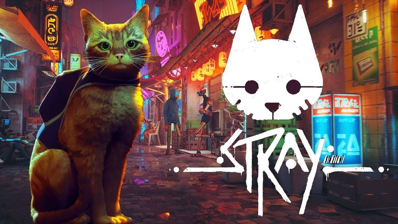 Stray