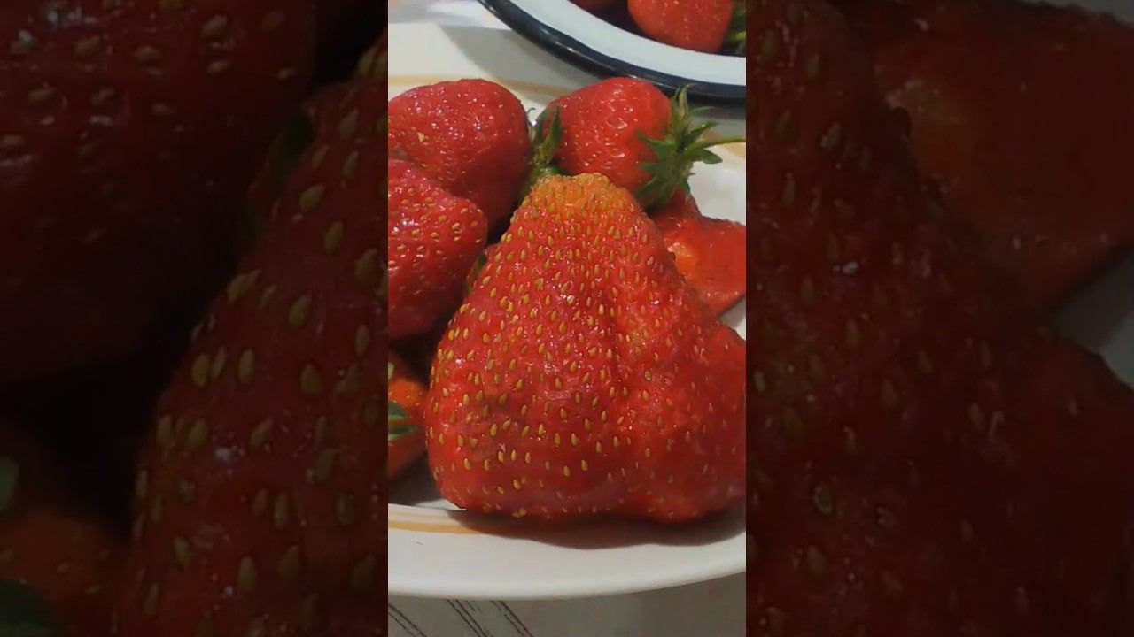 ГляАДитее КакаЯ КлубникаАа!!! Школьник Вячеслав и его Урожай! #ахтубинск #клубника #школота #негород