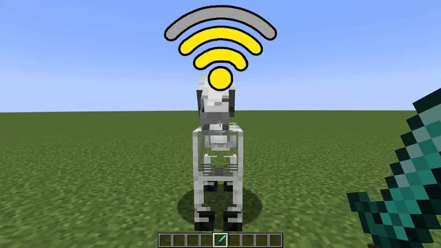 Minecraft Skeleton Horse With Different WI-FI