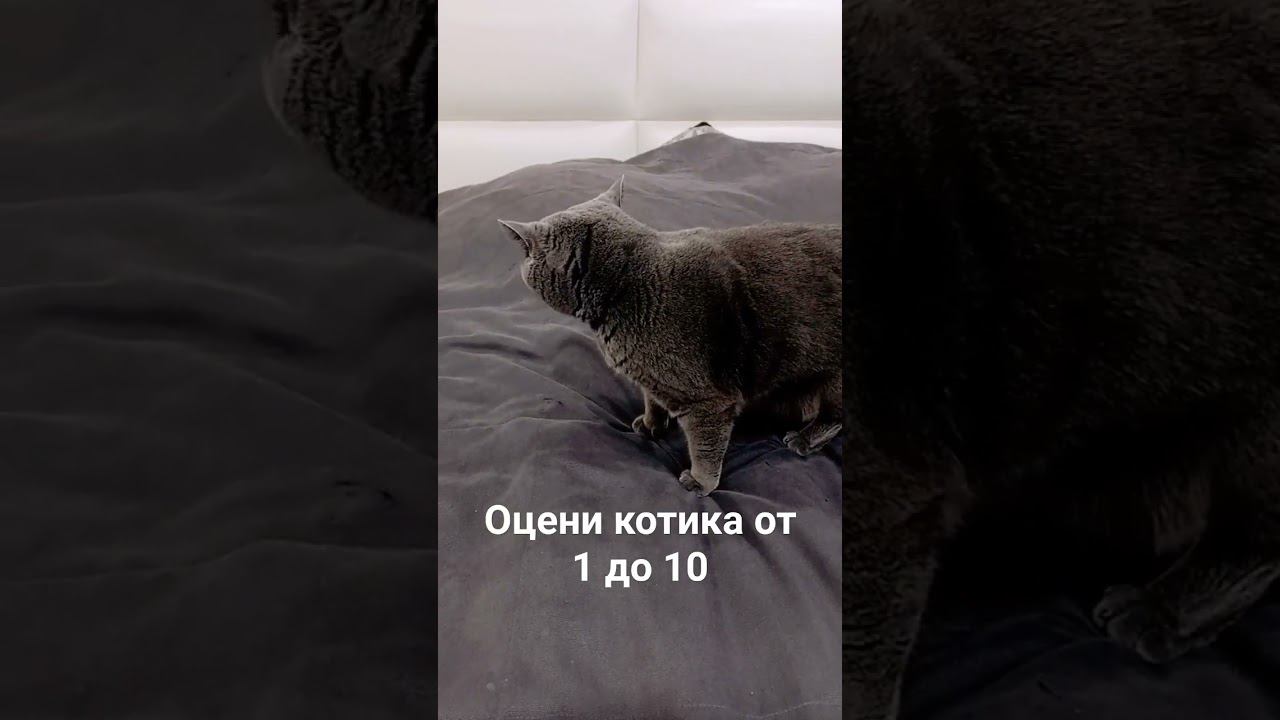 21 октября 202к #рек #тренд #мем #shorts