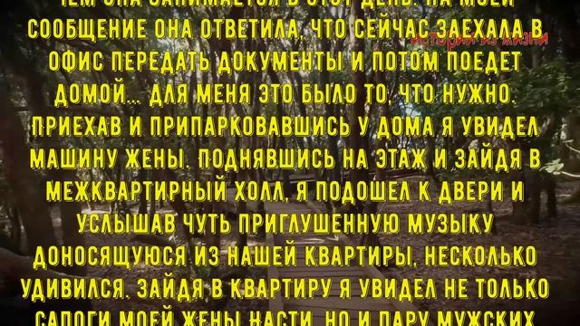 КОГДА ПРИЕХАЛИ ГОСТИ | Истории