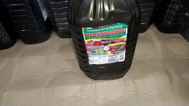 ?Весенние новинки в магазине Светофор?