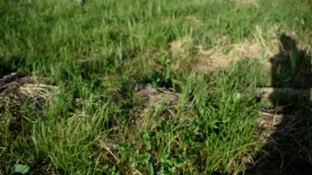 Обзор Стройплощадки Солнечного Вегетария Ч 1 Не Состоявшаяся Сенсация в связи с отсутствием оборудо