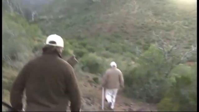 Africa In The Scope Part 5 Caracal Охота на африканскую рысь с гончими собаками