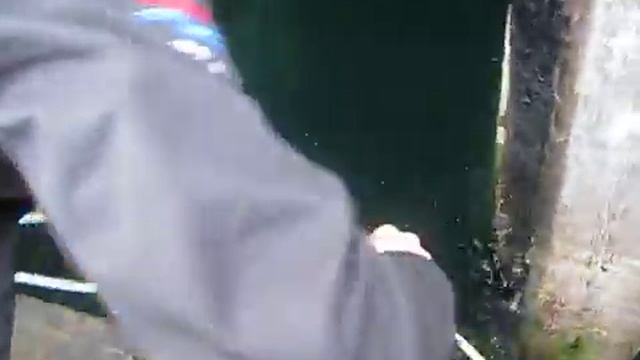 Как ловить рыбу удочкой.