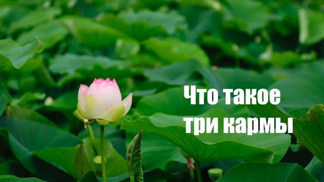 Три кармы