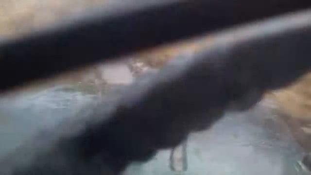 Папа нас кончился бензин!!!