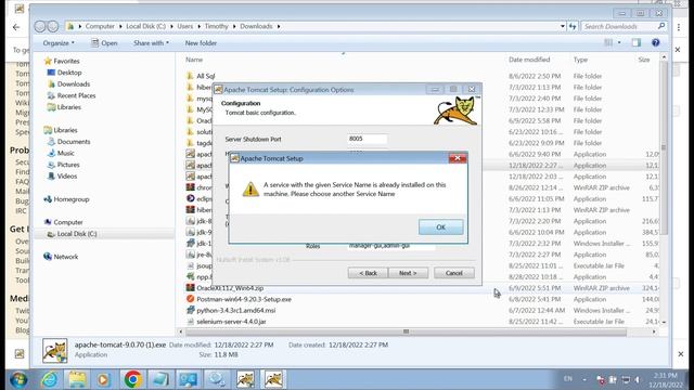 JSP Tutorials 4: Setting up Tomcat