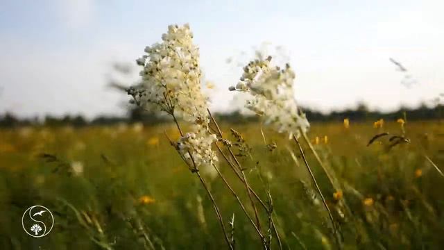 Три года ты мне снилась