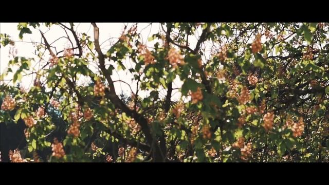 MORNING IMPRESSIONS | A Quick Sony Alpha 6400 Test