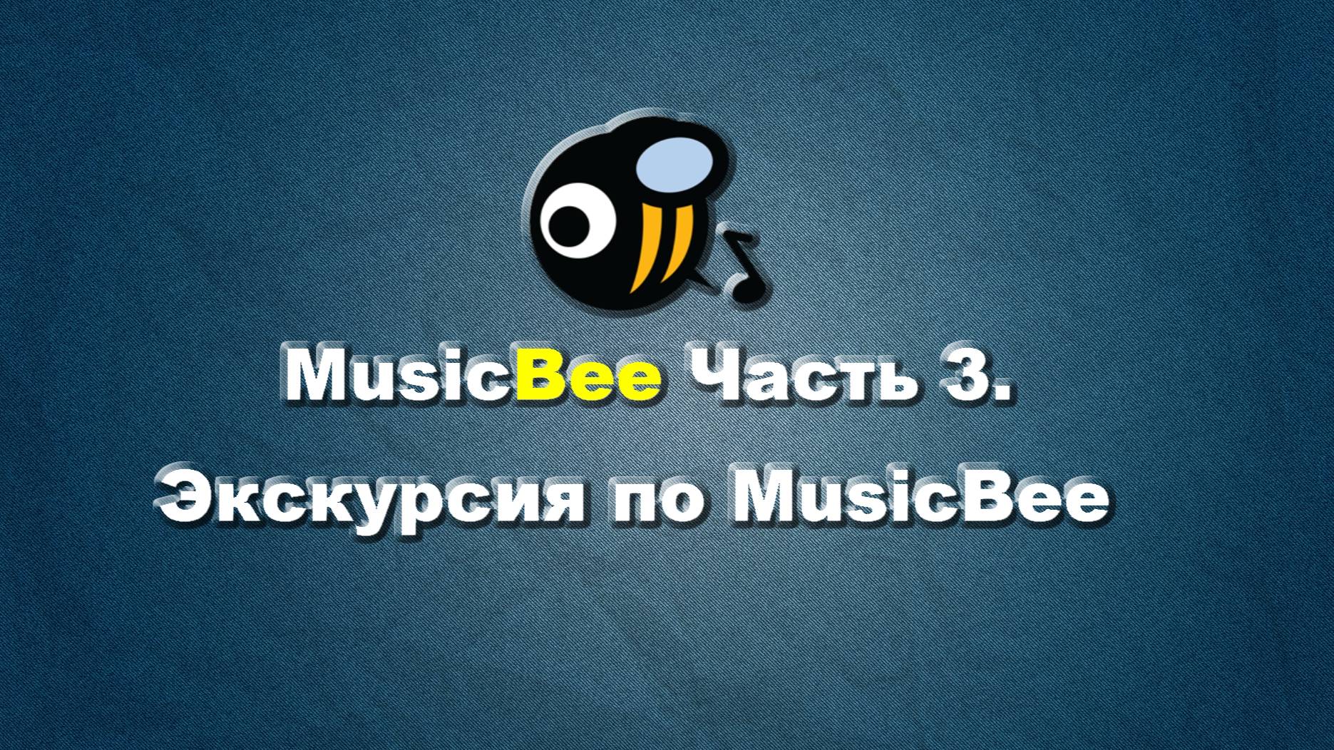 MusicBee на РУССКОМ, часть 3. Экскурсия по MusicBee