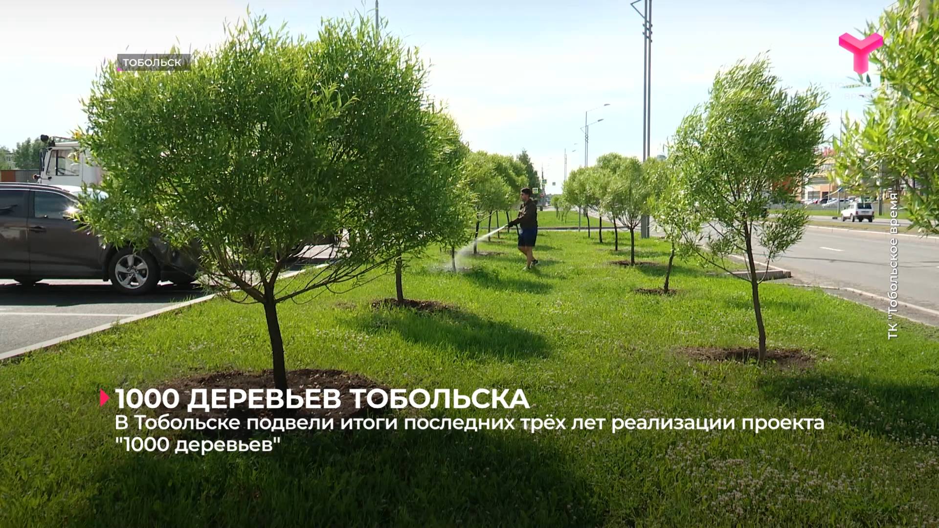 В Тобольске подвели итоги последних трёх лет реализации проекта "1000 деревьев"