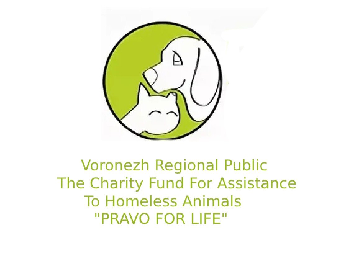 ITravel. Russia: Volunteers Across Regions And Cultures