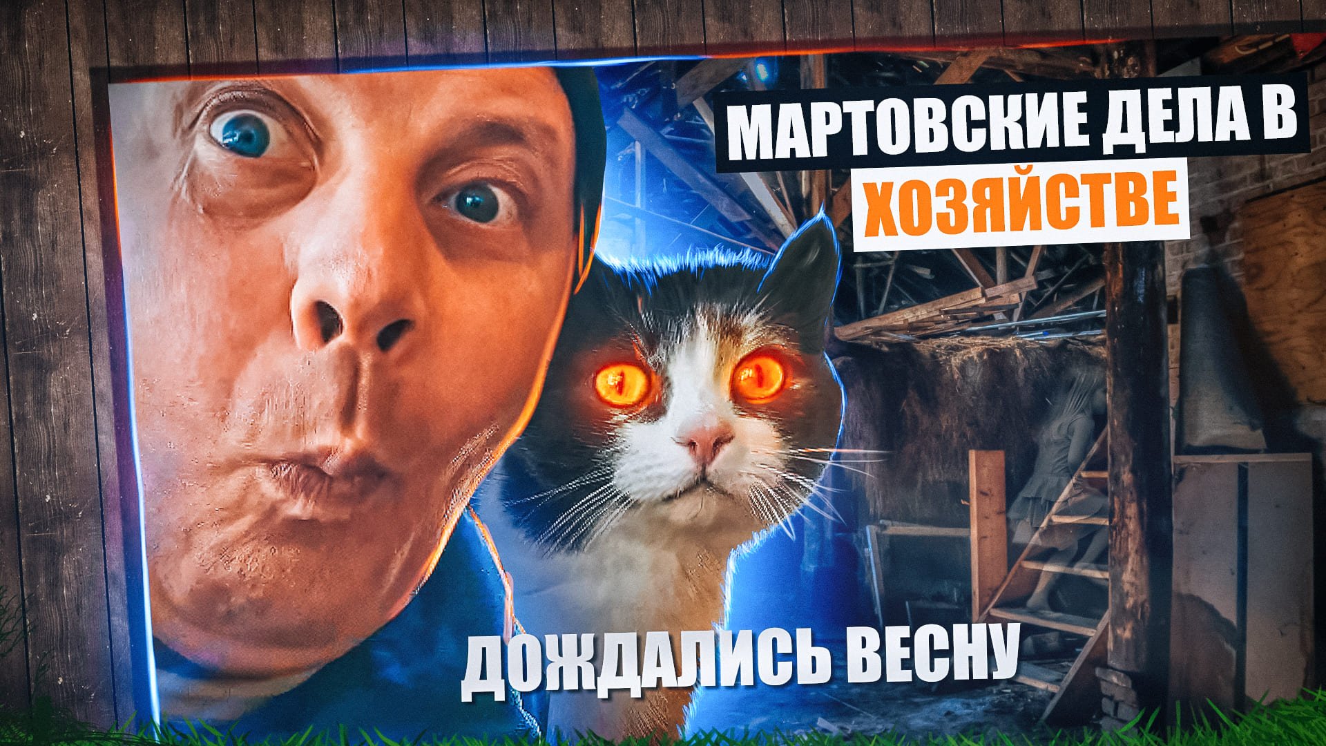 Обзор хозяйства в марте: козы бараны.... ИТОГО 12. Мое Подворье
