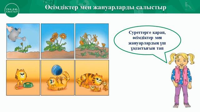 1-сынып. Жаратылыстану пәні. Жануарлар - тірі ағзалар
