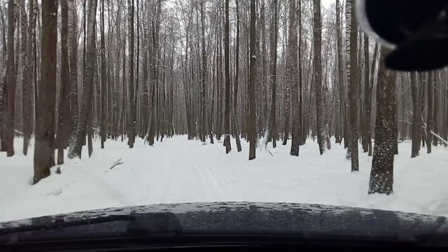 Зимой в лес на машине!!!