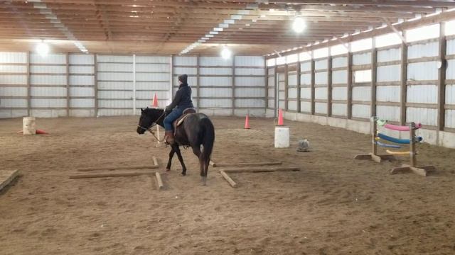 VTRC #17 Cee Heart Blue Kota Trail Rider 1/29/2022