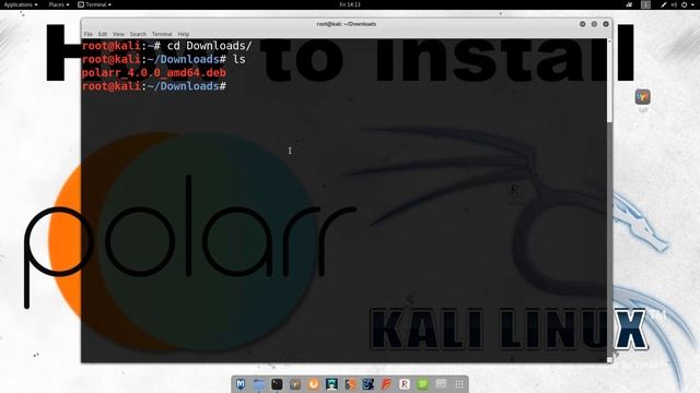 How to install Polarr on Kali Linux