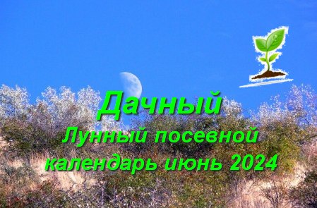 Лунный посевной календарь на июнь 2024 года для садоводов и огородников