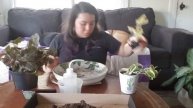 Houseplant Tag and Plant Chores! w/ Miskatonic River Fiend IPA