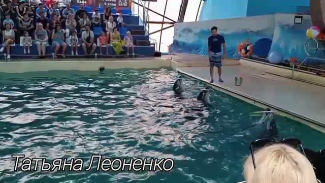 Выступление дельфинов в дельфинарии. Часть 2