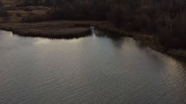 Река.mp4 #DJI #Mini2 #djimini2