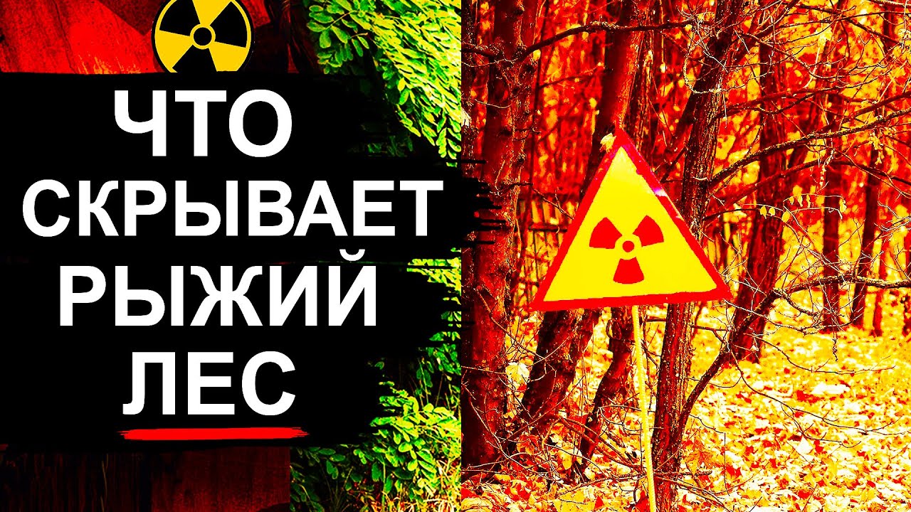 Чернобыль. Что скрывает рыжий лес ?