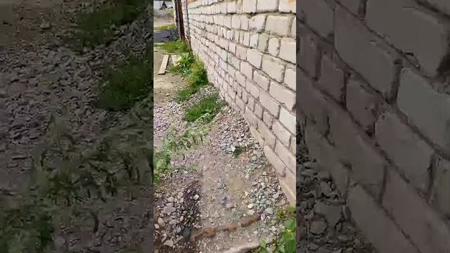 на заброшке наводим саито