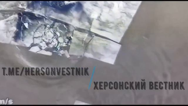 Гуманитарная помощь для застрявшего на льдине мамонтёнка