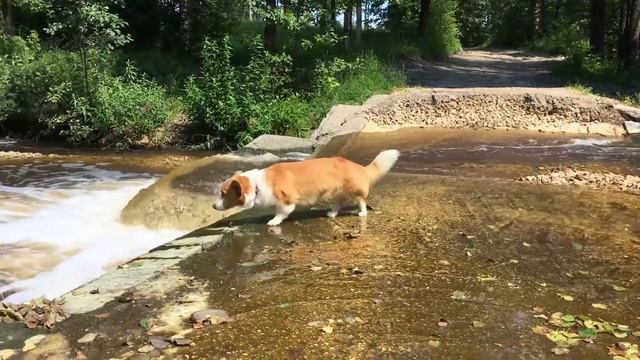 Лаврик и водопад). Июль 2017