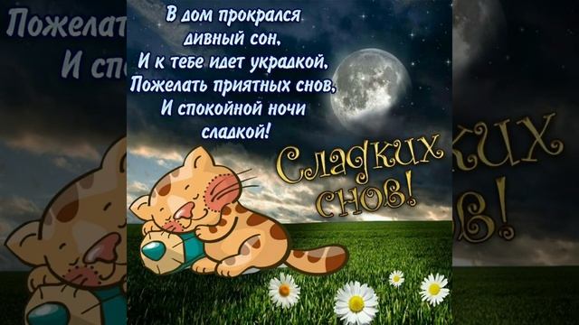Спокойной ночи ? Хорошего отдыха, приятных снов ???