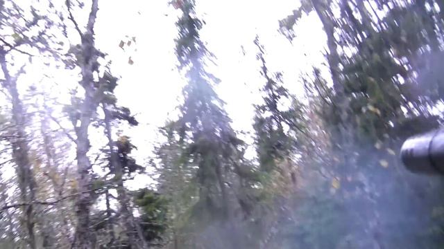 Шведы, они такие
