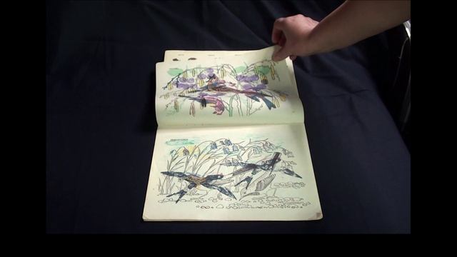 Раскрасска_Птицы_1981г
