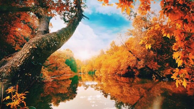 ?Beautiful classical music,birds singing, 4K video autumn time,nice quiet place, wonderful mood.?