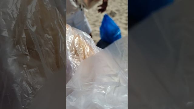 Отдых на Азовском море в Седово купили пирожки и самсу на пляже