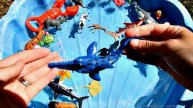 Learn With Wild Zoo Animals Blue Water Big Shark Toys For Kids
