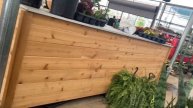 Plant Shops in Dallas Texas: Plant Prices are getting Out of Control! Full plant tour of Ruibals!