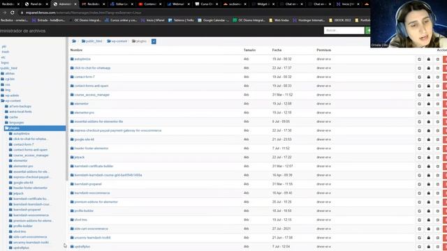 ¿Cómo es el CPanel de Don Web? ¿Es fácil de usar? FEROZO 2022