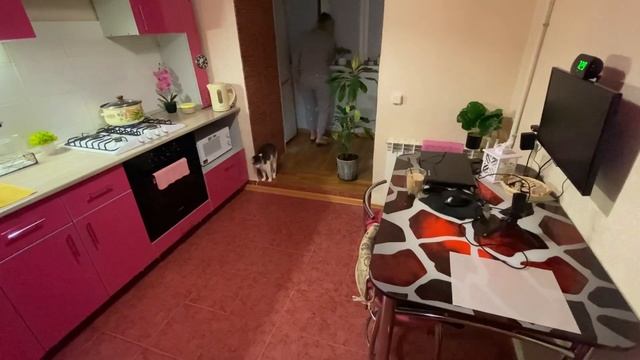 ДВА МЕСЯЦА ОДНА / ПОДНЯЛИ В 7 УТРА / СУП С КЛЁЦКАМИ