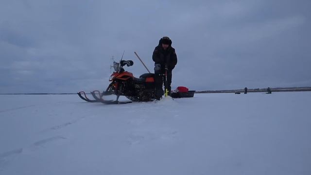 28 марта. Весенний судак. Обское море.