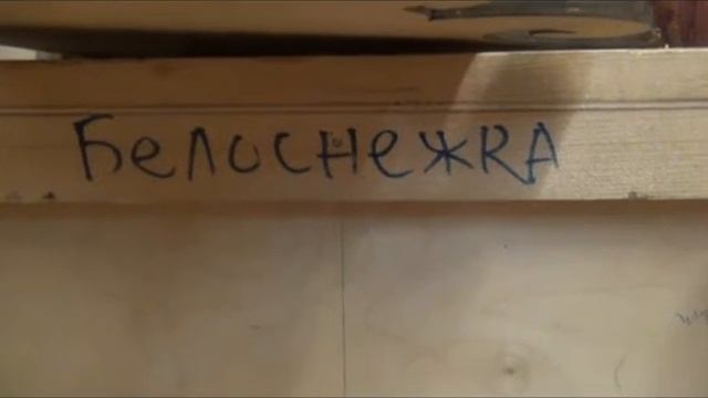 Московский детский театр теней: списание спектаклей