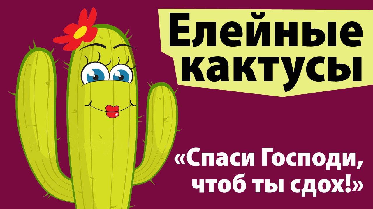 Елейные кактусы или "Спаси Господи, чтоб ты сдох!"