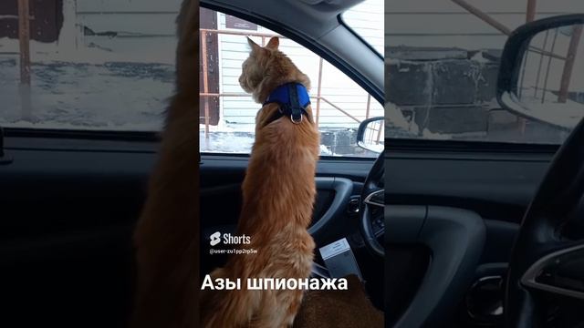 Азы шпионажа