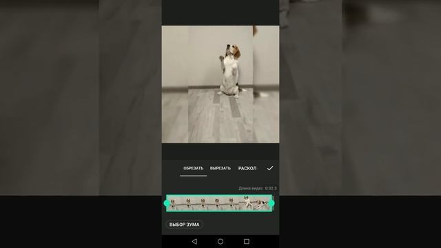 Монтаж в InShot (первичный)